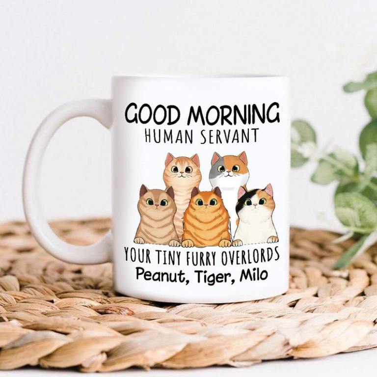 personalized cat coffee mug with good morning human servan