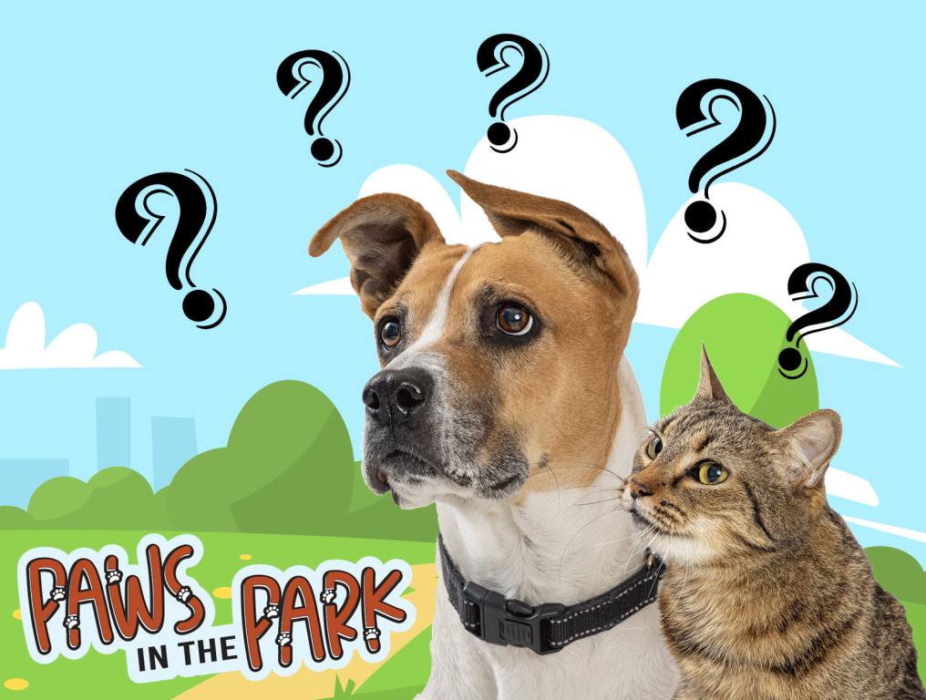 Paws In The Park FAQ Page