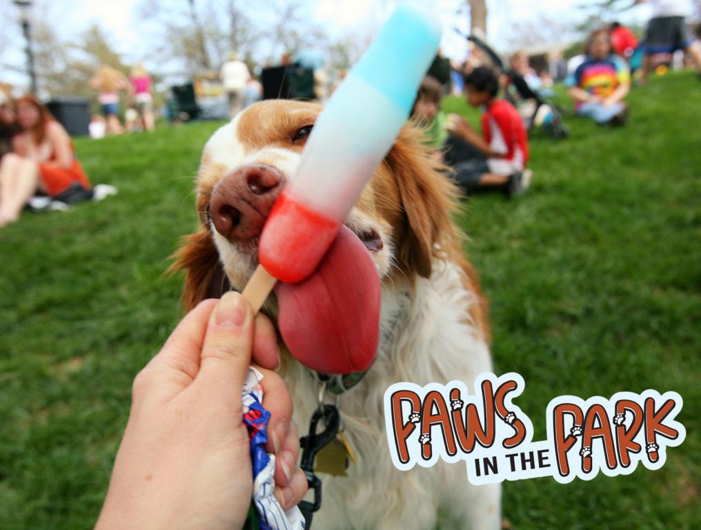 Paws In The Park