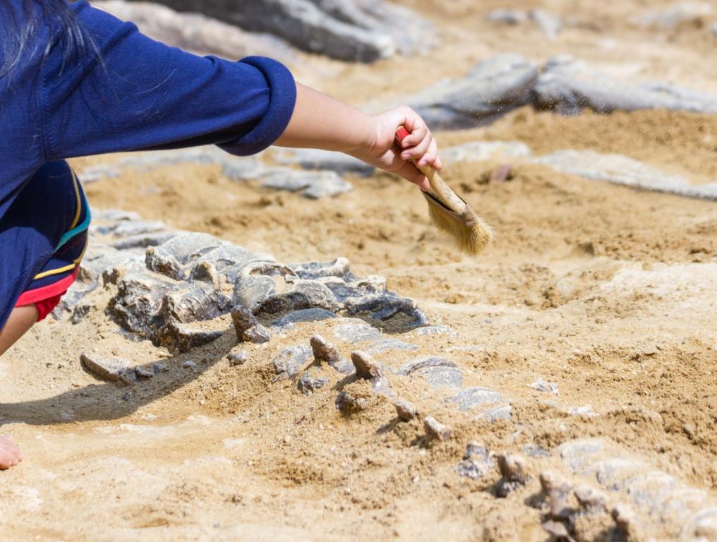 boy brushing dust off of fossil