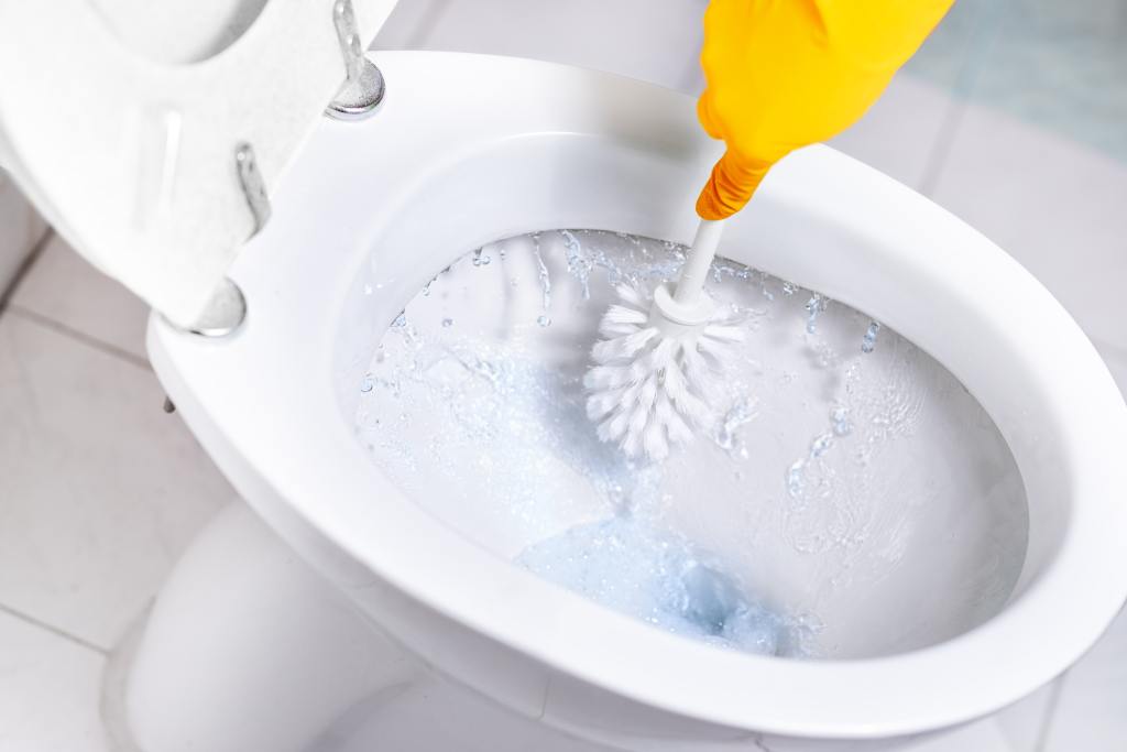 scrubbing toilet with toilet brush