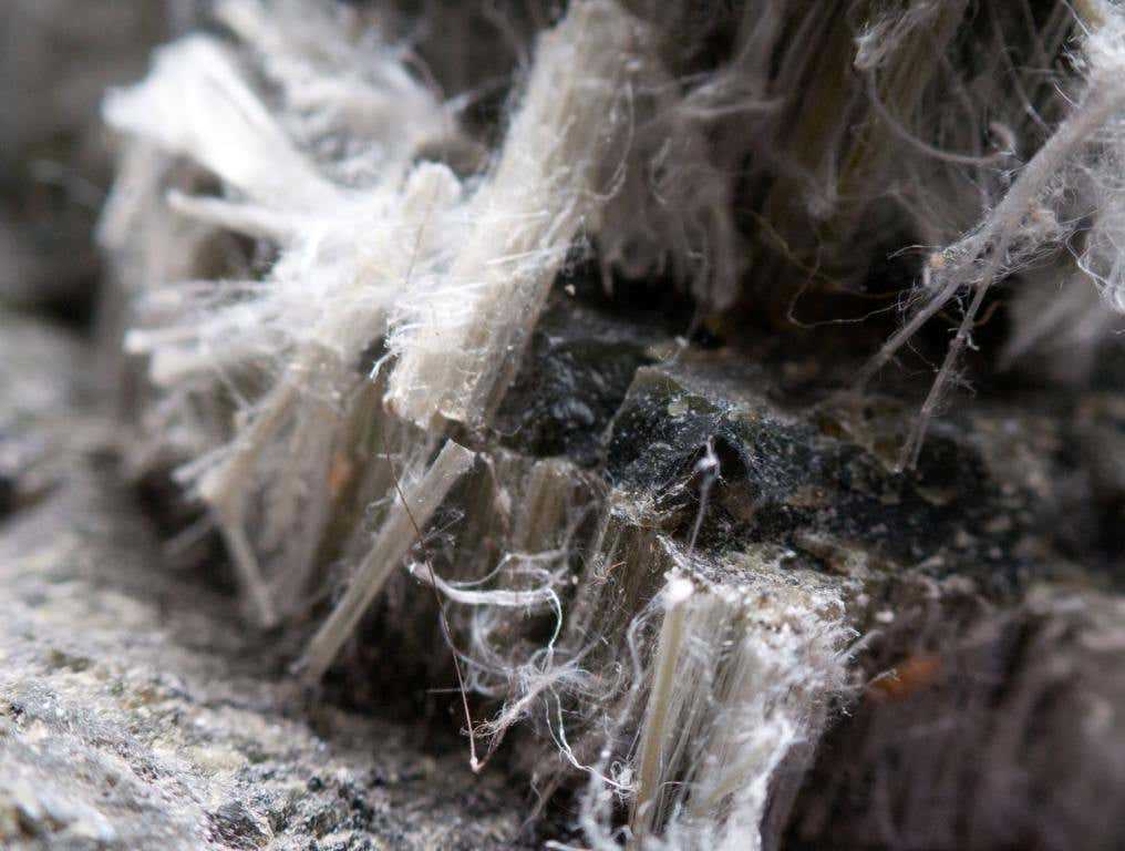 asbestos chrysotile fibers up close