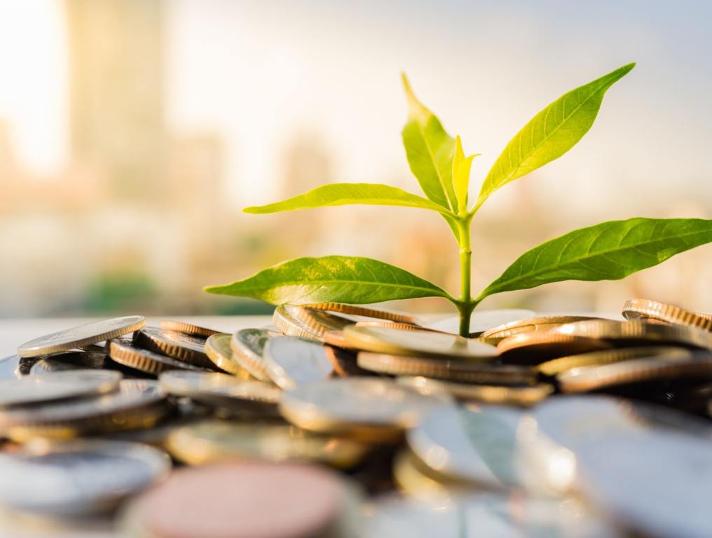 Coins and a plant.