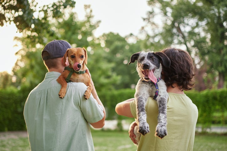 two adults with cute dogs over their shoulders