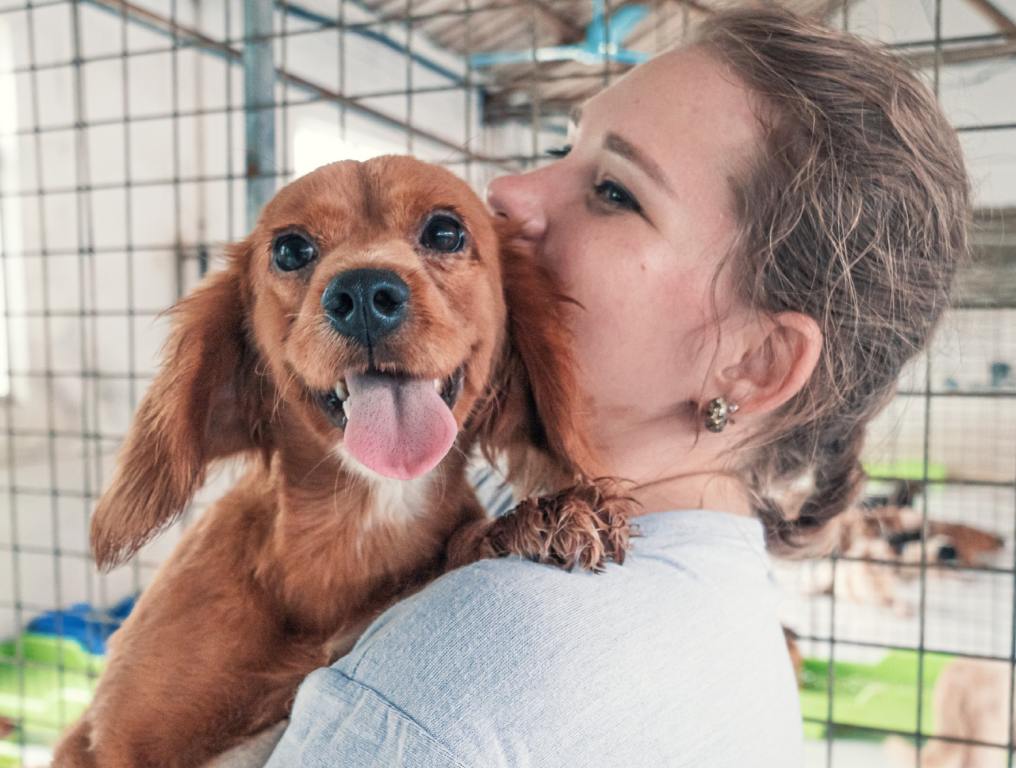 Helpful tips from experts when adopting a rescue pet. Close-up photo of a female worker at a pet shelter holding a cute, red-haired dog in her arms. Just her shoulders and head are visible. It looks like she is kissing the dog behind it's left ear. The dog's tongue is sticking out as if it is panting. There is an animal cage visible behind the woman and dog.