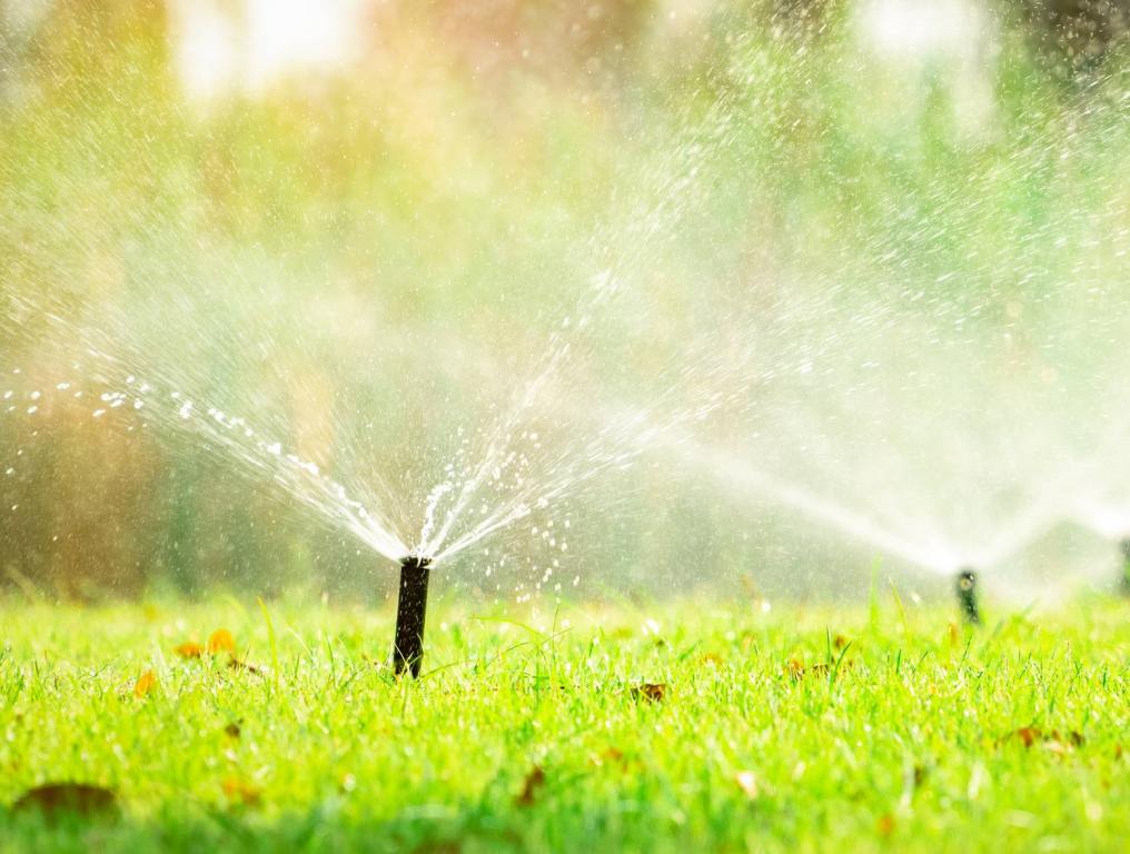 sprinklers on lawn snwa rebates