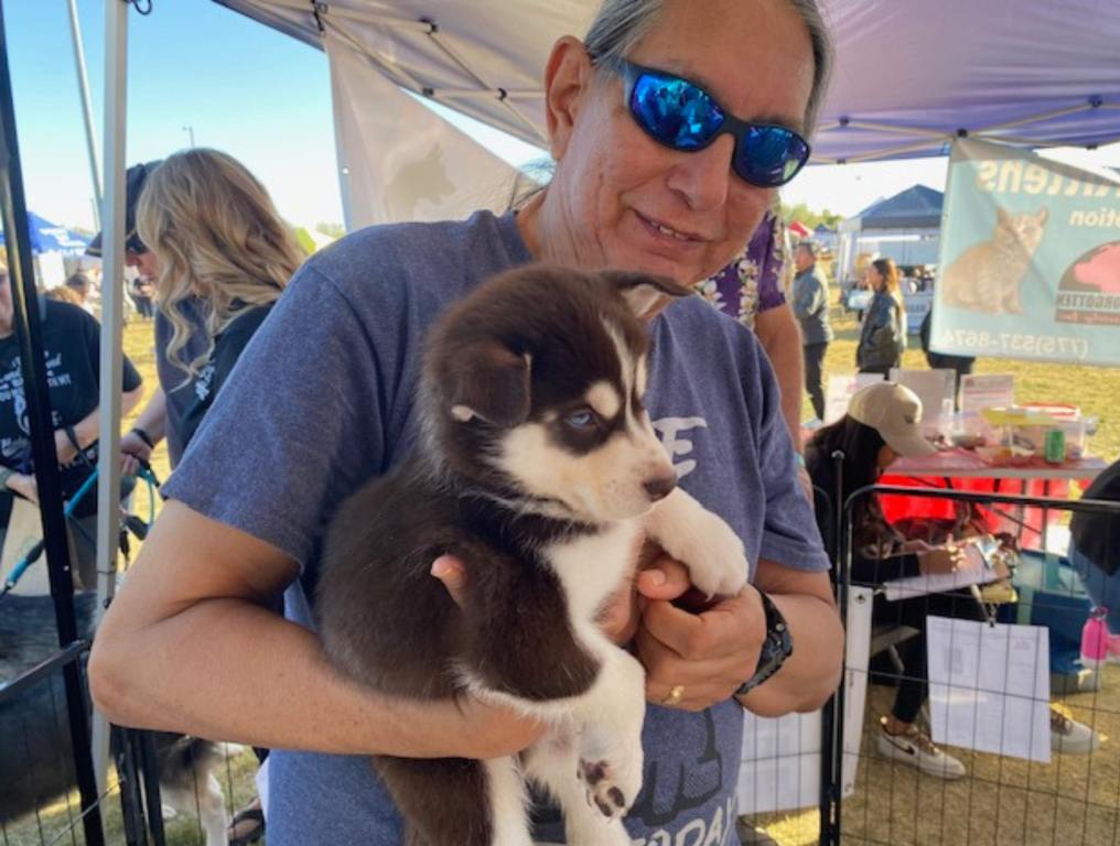 Husky puppy being held