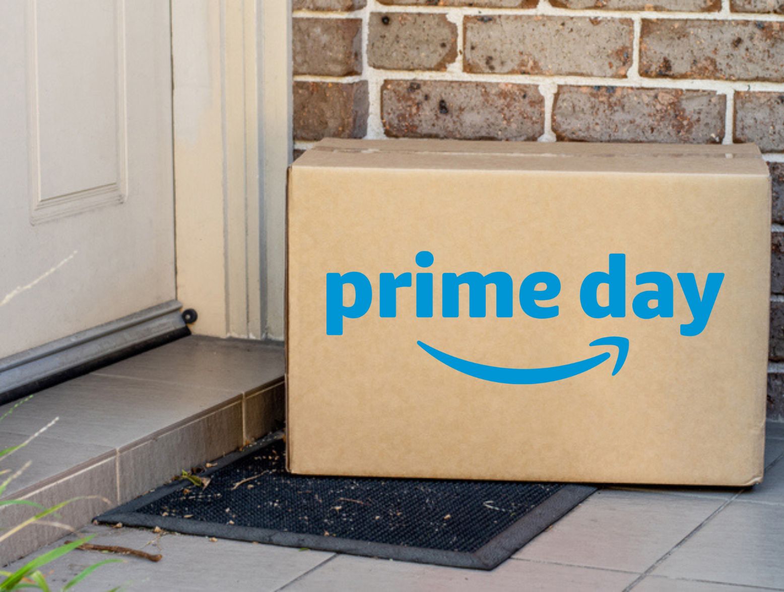 Prime Day Pop Culture Picks